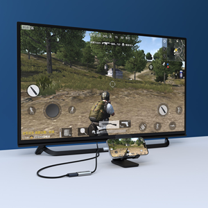 S-LINK SWV-USBC028, Type-C to HDMI Metal, Çevirici