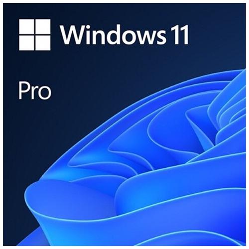 Microsoft Windows 11 Pro 32/64 Bit TR-ING ESD Elektronik Lisans (FQC-10572)